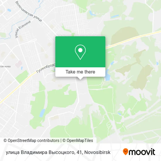улица Владимира Высоцкого, 41 map