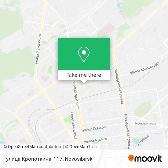 улица Кропоткина, 117 map