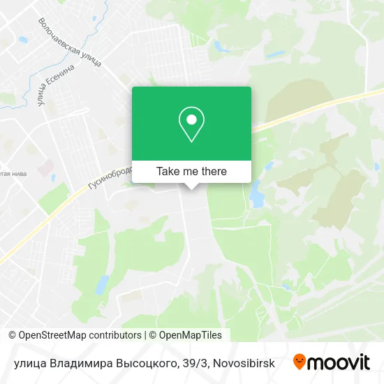 улица Владимира Высоцкого, 39 / 3 map