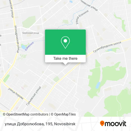 улица Добролюбова, 195 map