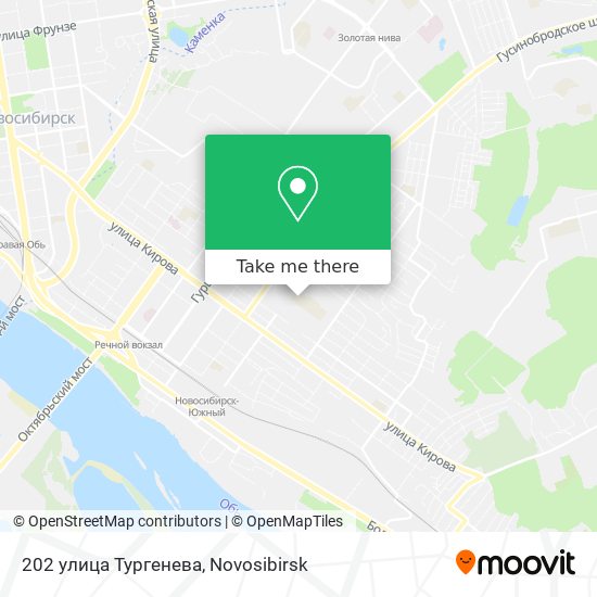 202 улица Тургенева map