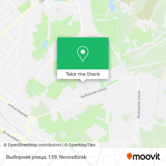 Выборная улица, 139 map