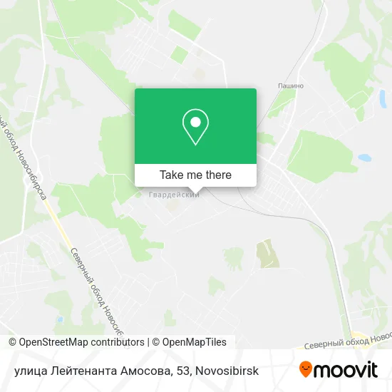 улица Лейтенанта Амосова, 53 map