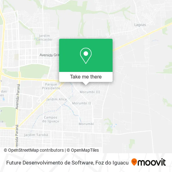 Future Desenvolvimento de Software map