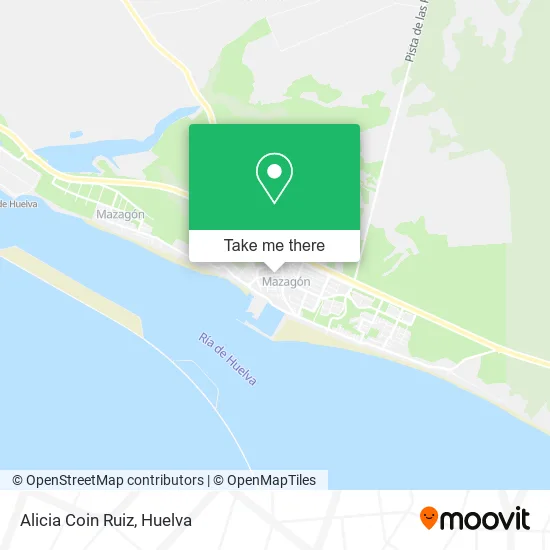 Alicia Coin Ruiz map