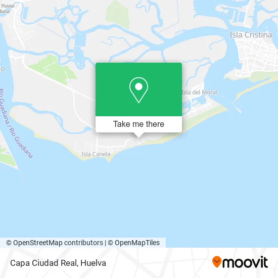 Capa Ciudad Real map