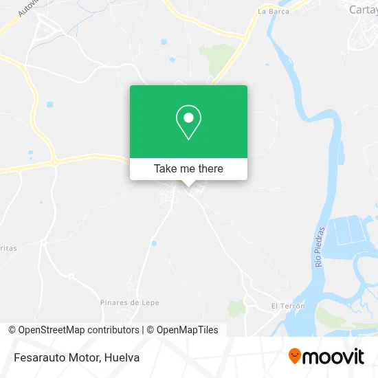 Fesarauto Motor map