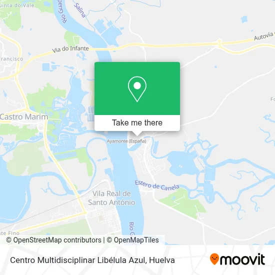 Centro Multidisciplinar Libélula Azul map