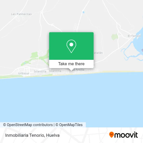 Inmobiliaria Tenorio map