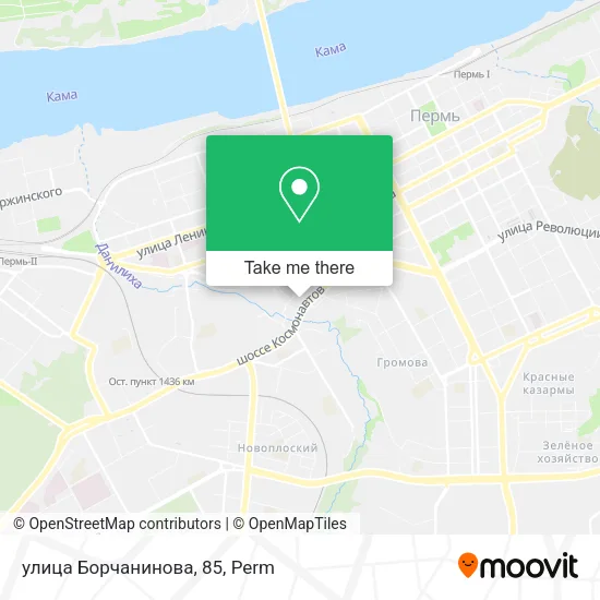 улица Борчанинова, 85 map