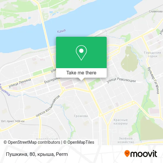 Пушкина, 80, крыша map