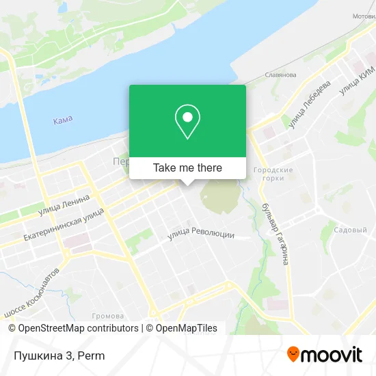 Пушкина 3 map