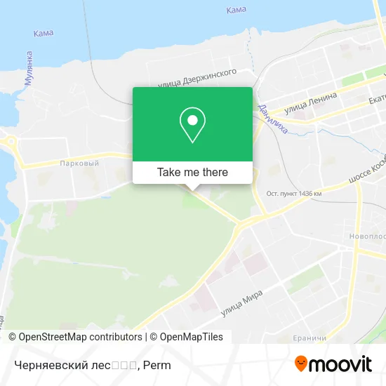 Черняевский лес🌲🌳😍 map
