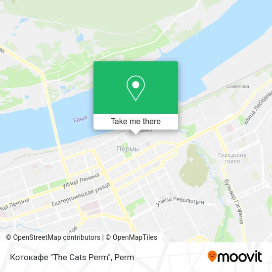 Котокафе "The Cats Perm" map