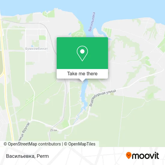 Васильевка map