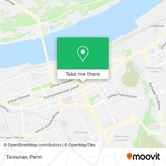 Тюльпан map