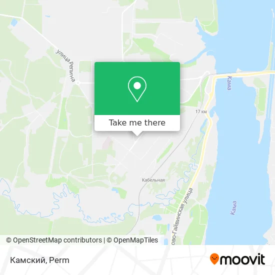 Камский map