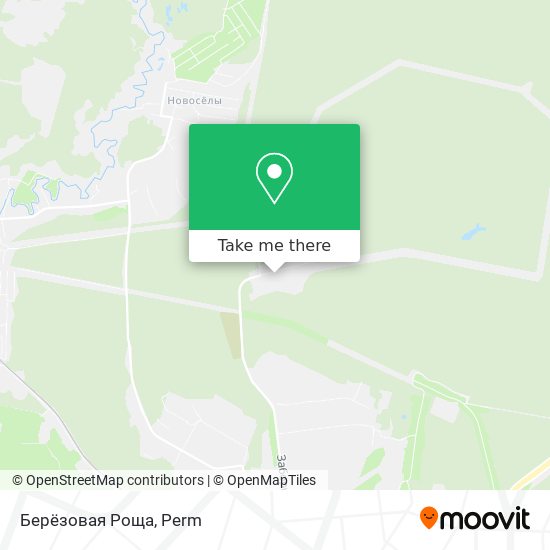 Берёзовая Роща map