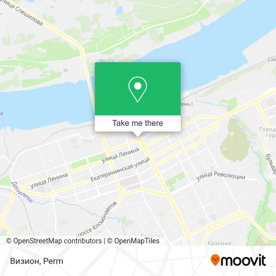 Визион map