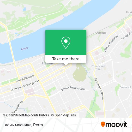 дочь мясника map