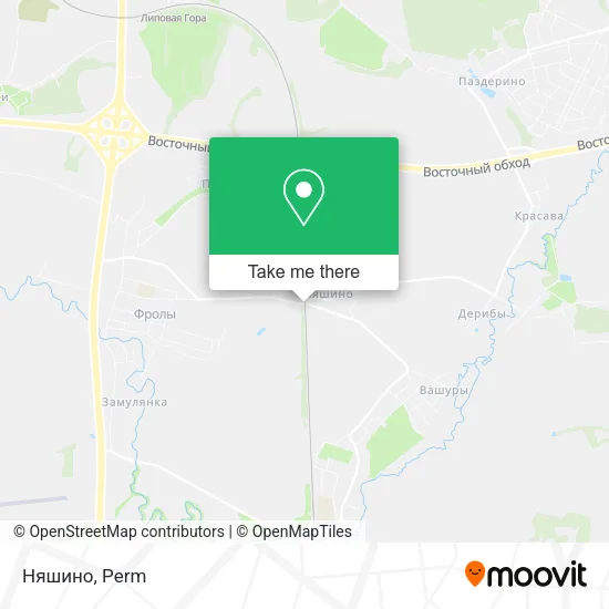 Няшино map