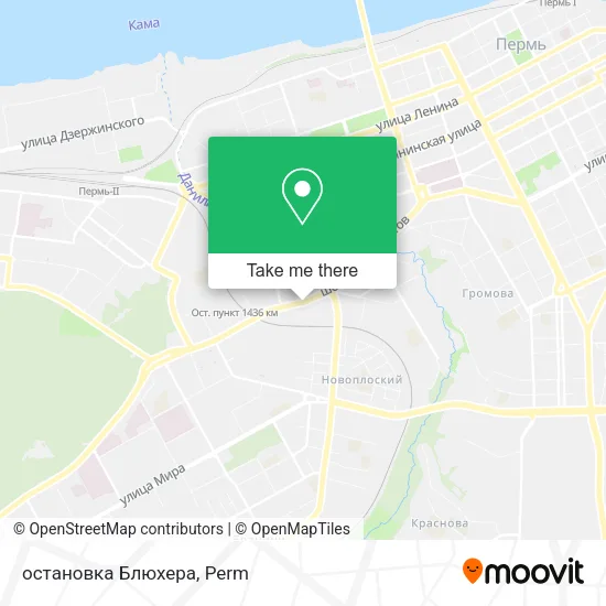остановка Блюхера map