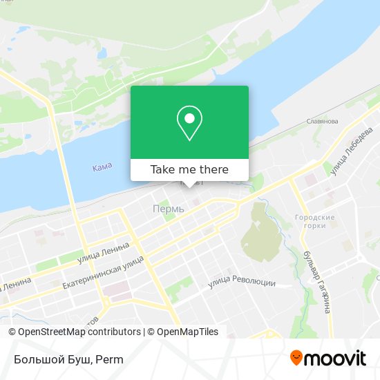 Большой Буш map