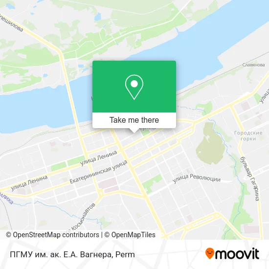 ПГМУ им. ак. Е.А. Вагнера map