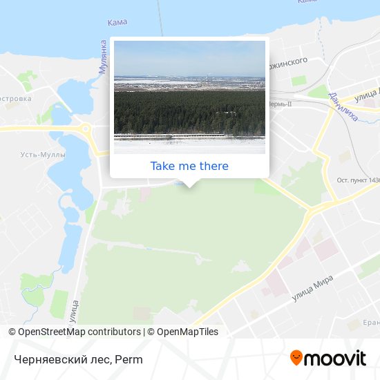 Черняевский лес map