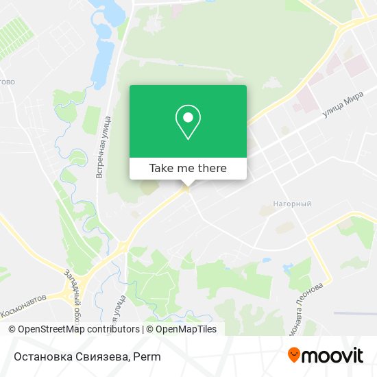 Остановка  Свиязева map