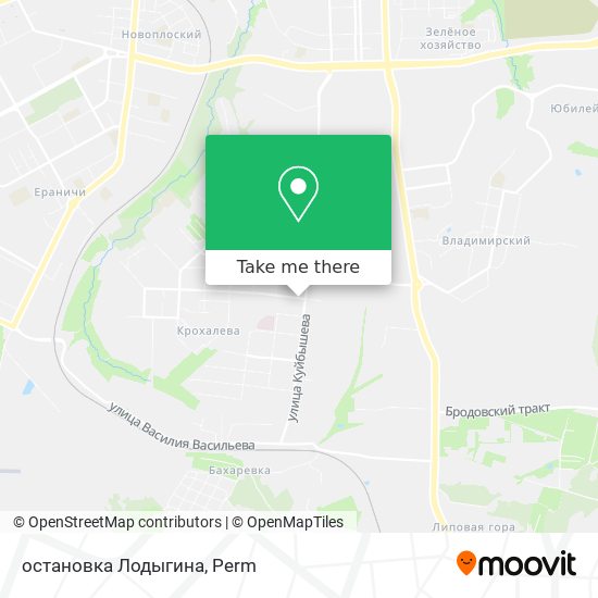 остановка  Лодыгина map