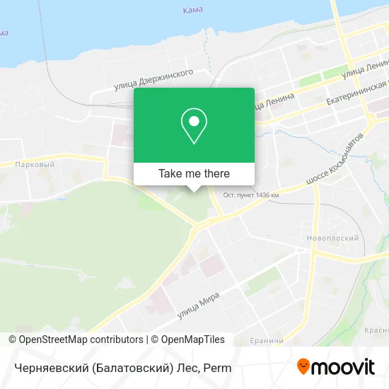 Черняевский (Балатовский) Лес map