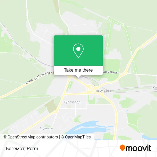 Бегемот map