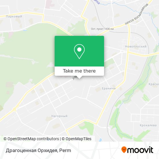 Драгоценная Орхидея map