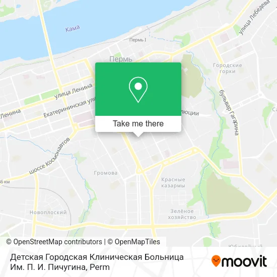 Детская Городская Клиническая Больница Им. П. И. Пичугина map