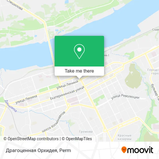 Драгоценная Орхидея map