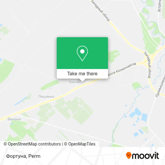 Фортуна map