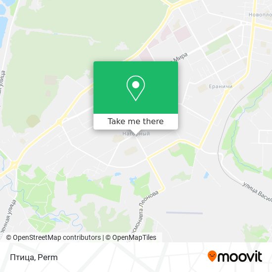 Птица map