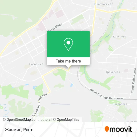 Жасмин map