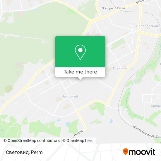 Световид map
