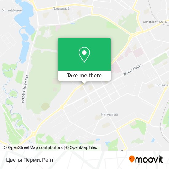 Цветы Перми map