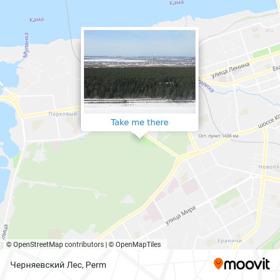 Черняевский Лес map