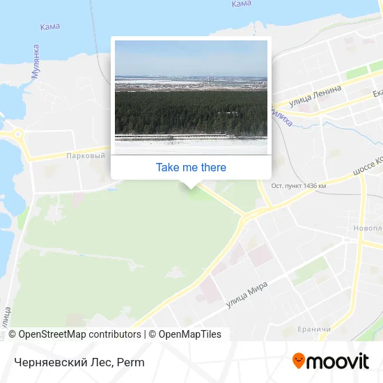 Черняевский Лес map