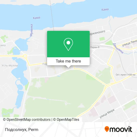 Подсолнух map