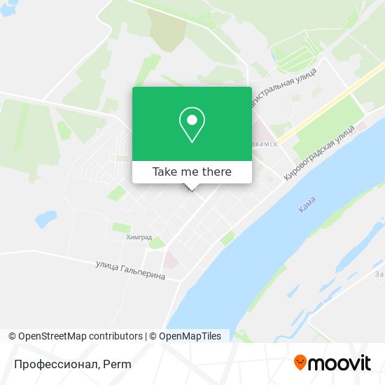 Профессионал map