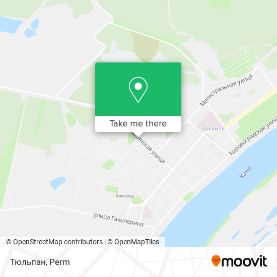 Тюльпан map