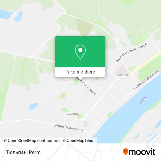 Тюльпан map