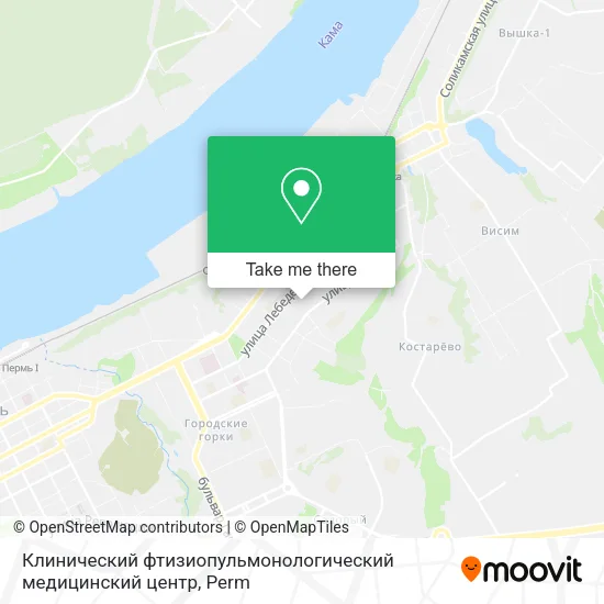 Клинический фтизиопульмонологический медицинский центр map