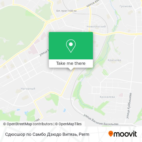 Сдюсшор по Самбо Дзюдо Витязь map