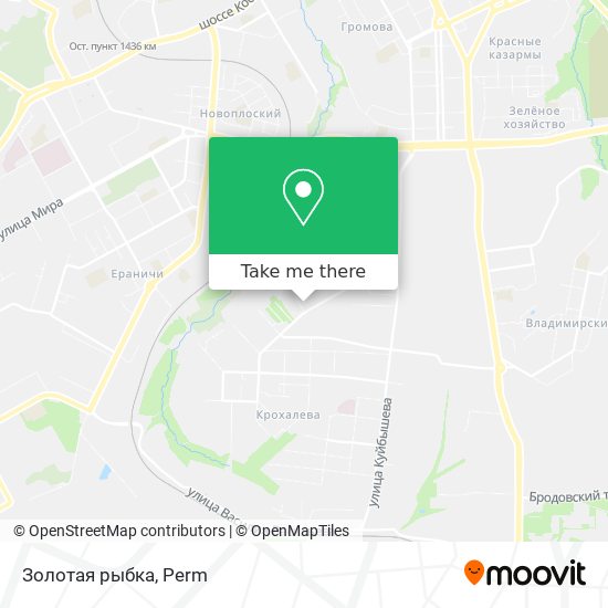 Золотая рыбка map